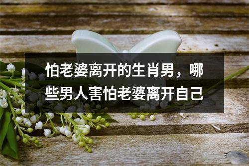 <h3>怕老婆离开的生肖男，哪些男人害怕老婆离开自己