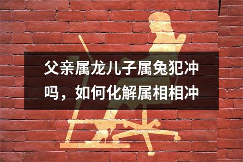 <h3>父亲属龙儿子属兔犯冲吗，如何化解属相相冲