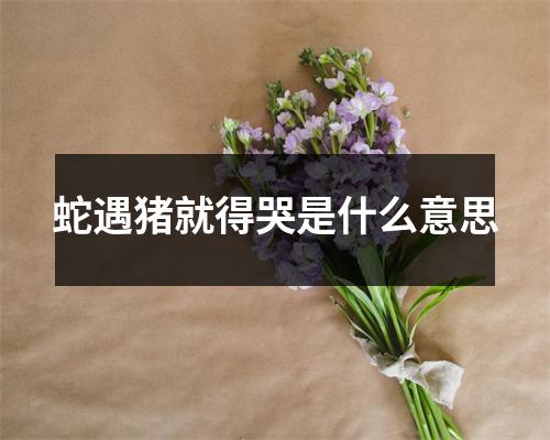 蛇遇猪就得哭是什么意思