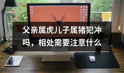 <h3>父亲属虎儿子属猪犯冲吗，相处需要注意什么