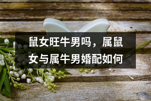 <h3>鼠女旺牛男吗，属鼠女与属牛男婚配如何
