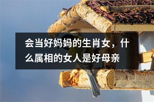 会当好妈妈的生肖女，什么属相的女人是好母亲