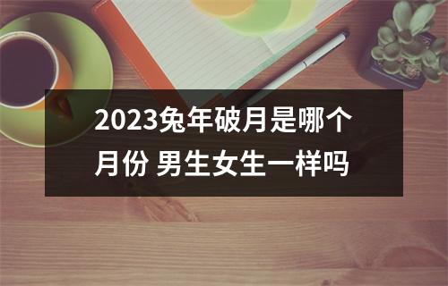 <h3>2025兔年破月是哪个月份男生女生一样吗