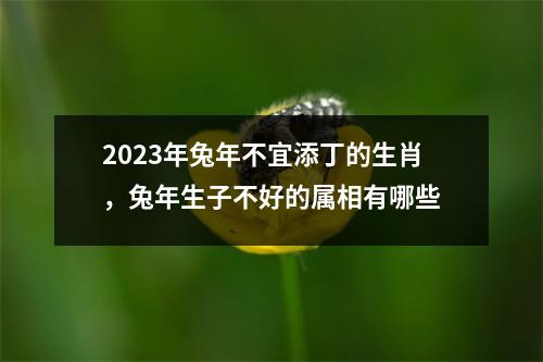 2025年兔年不宜添丁的生肖，兔年生子不好的属相有哪些