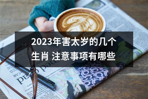 <h3>2025年害太岁的几个生肖注意事项有哪些