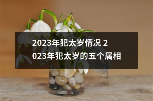 <h3>2025年犯太岁情况2025年犯太岁的五个属相