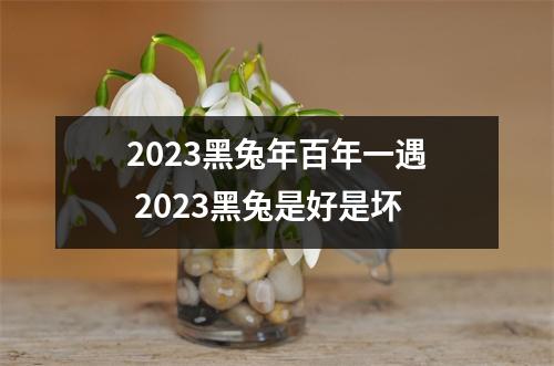 <h3>2025黑兔年百年一遇2025黑兔是好是坏