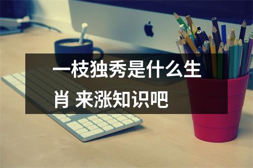 <h3>一枝独秀是什么生肖来涨知识吧