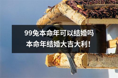 99兔本命年可以结婚吗本命年结婚大吉大利！