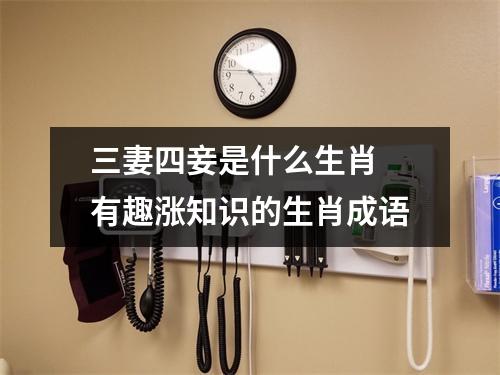 <h3>三妻四妾是什么生肖有趣涨知识的生肖成语