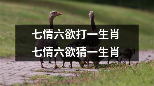 七情六欲打一生肖七情六欲猜一生肖