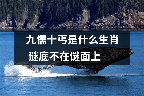 九儒十丐是什么生肖谜底不在谜面上