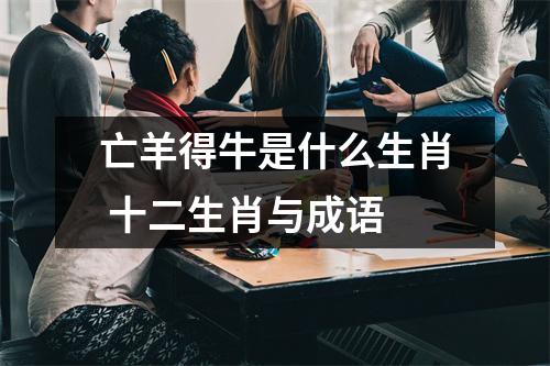 亡羊得牛是什么生肖十二生肖与成语