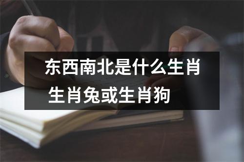 <h3>东西南北是什么生肖生肖兔或生肖狗