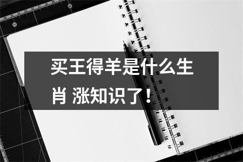 买王得羊是什么生肖涨知识了！