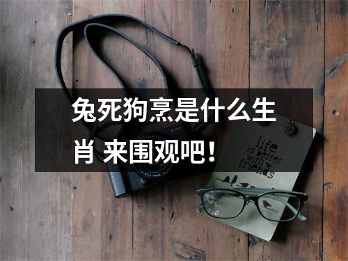 <h3>兔死狗烹是什么生肖来围观吧！