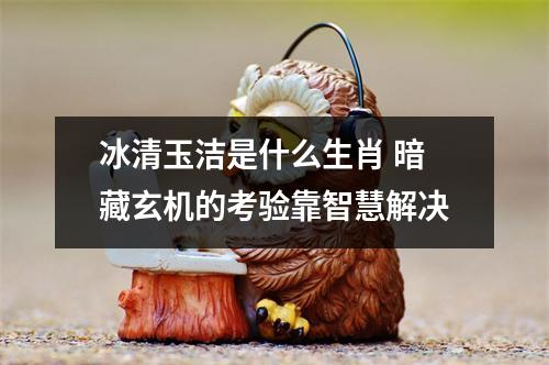 <h3>冰清玉洁是什么生肖暗藏玄机的考验靠智慧解决