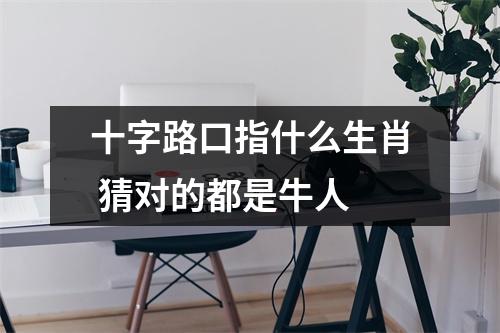 十字路口指什么生肖猜对的都是牛人