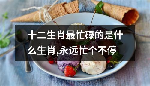 十二生肖忙碌的是什么生肖,永远忙个不停