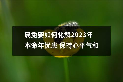 <h3>属兔要如何化解2025年本命年忧患保持心平气和