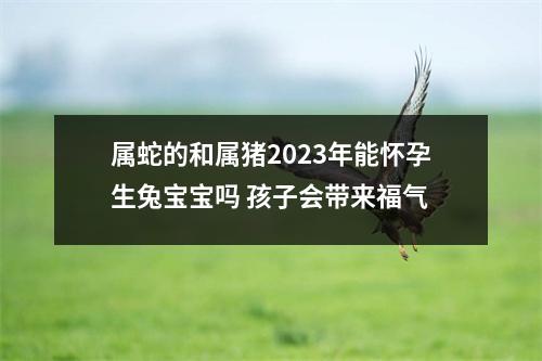 属蛇的和属猪2025年能怀孕生兔宝宝吗孩子会带来福气
