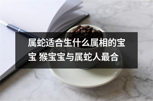 属蛇适合生什么属相的宝宝猴宝宝与属蛇人合