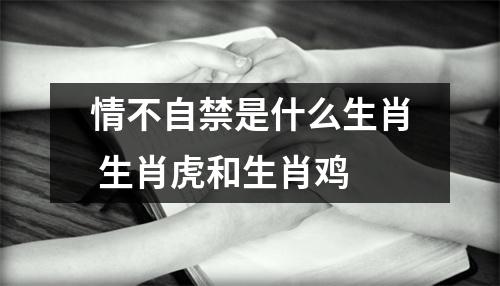 <h3>情不自禁是什么生肖生肖虎和生肖鸡