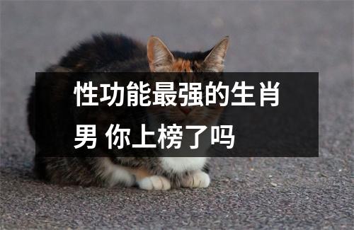 性功能强的生肖男你上榜了吗