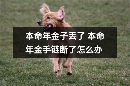 <h3>本命年金子丢了本命年金手链断了怎么办