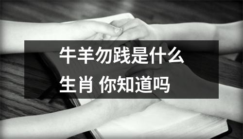 <h3>牛羊勿践是什么生肖你知道吗
