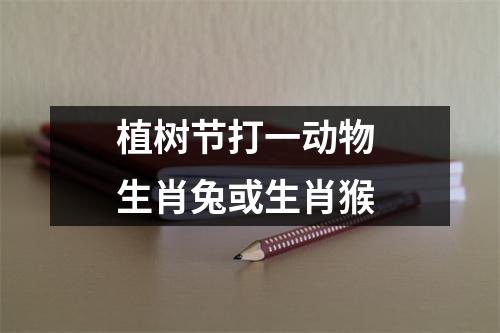 植树节打一动物生肖兔或生肖猴