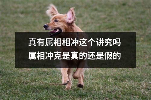 <h3>真有属相相冲这个讲究吗属相冲克是真的还是假的