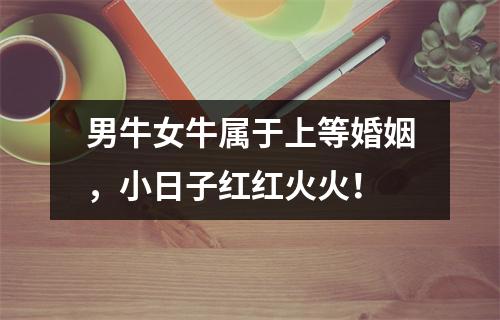 男牛女牛属于上等婚姻，小日子红红火火！
