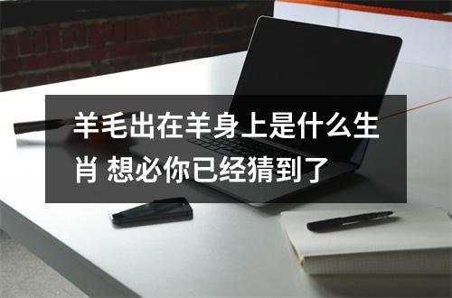 羊毛出在羊身上是什么生肖想必你已经猜到了