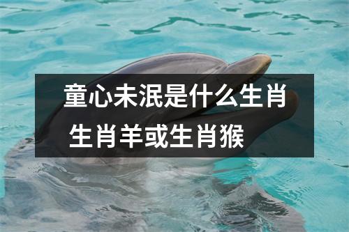 <h3>童心未泯是什么生肖生肖羊或生肖猴
