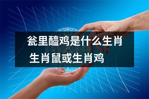 瓮里醯鸡是什么生肖生肖鼠或生肖鸡