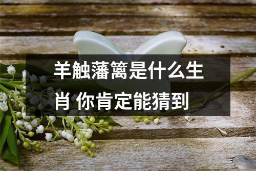 <h3>羊触藩篱是什么生肖你肯定能猜到