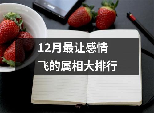 12月让感情飞的属相大排行