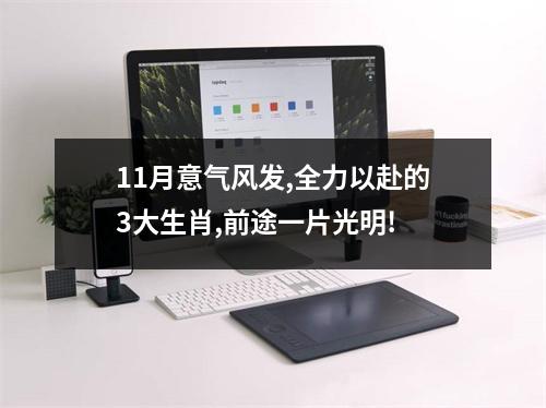 11月意气风发,全力以赴的3大生肖,前途一片光明!