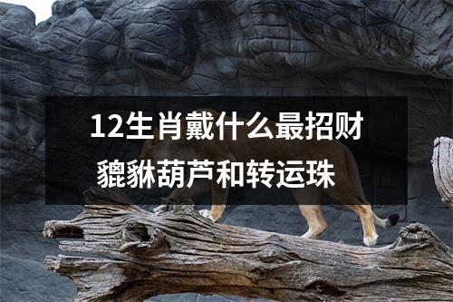 12生肖戴什么招财貔貅葫芦和转运珠