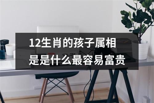 12生肖的孩子属相是是什么容易富贵