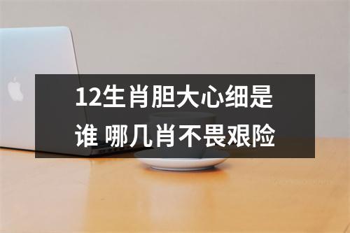 12生肖胆大心细是谁哪几肖不畏艰险