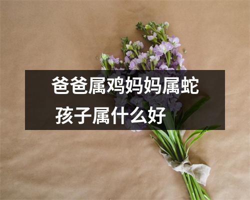 <h3>爸爸属鸡妈妈属蛇孩子属什么好