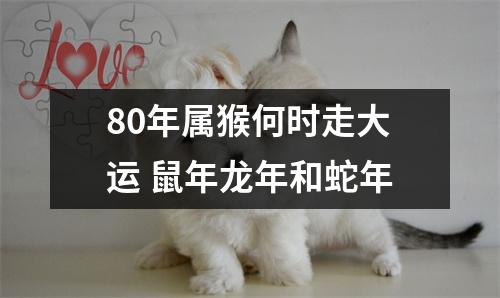 <h3>80年属猴何时走大运鼠年龙年和蛇年
