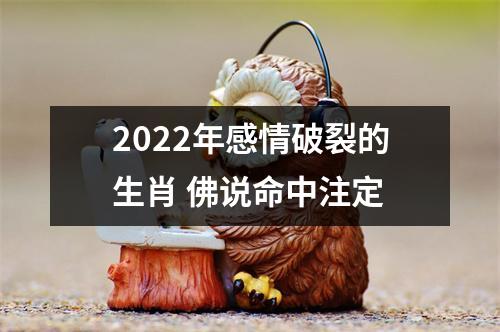 2025年感情破裂的生肖佛说命中注定