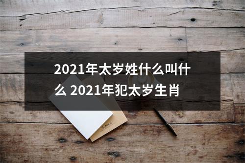 <h3>2025年太岁姓什么叫什么2025年犯太岁生肖