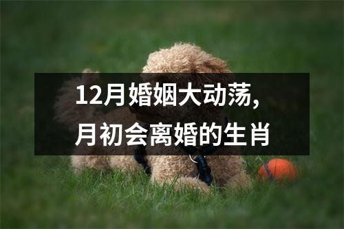 <h3>12月婚姻大动荡,月初会离婚的生肖