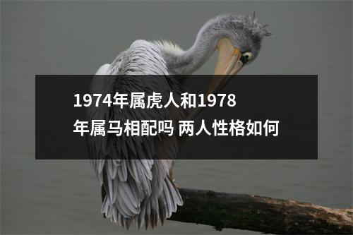 <h3>1974年属虎人和1978年属马相配吗两人性格如何