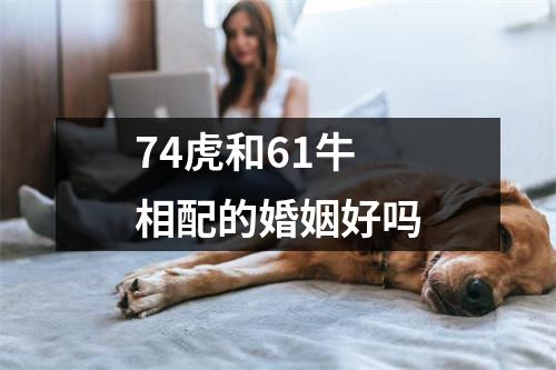 <h3>74虎和61牛相配的婚姻好吗