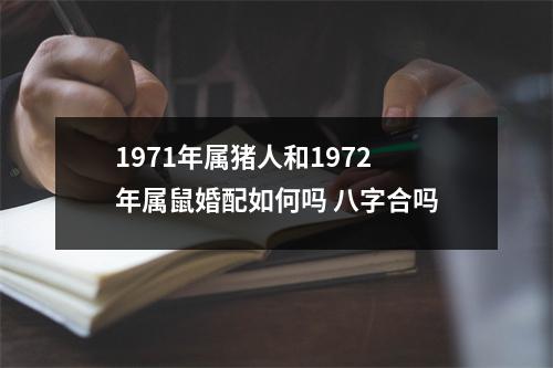 <h3>1971年属猪人和1972年属鼠婚配如何吗八字合吗